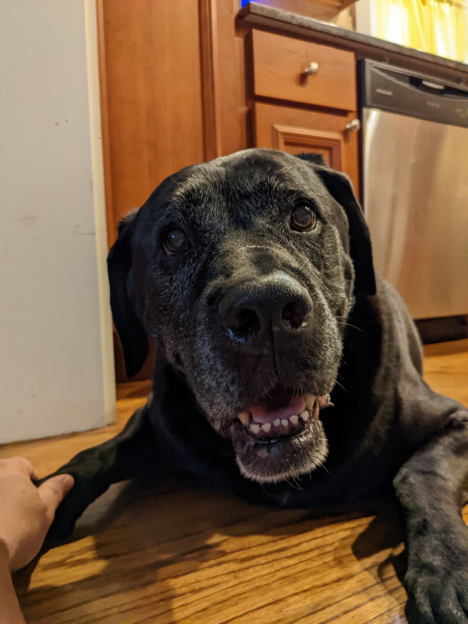 Woody 🌻 on Twitter "Jimmy, legit does not understand what all the fuss