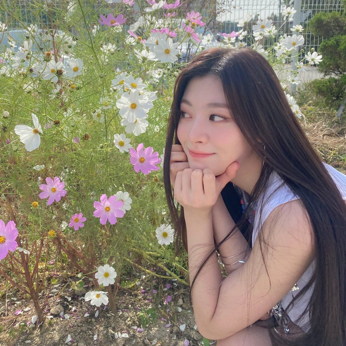 tuttilog's tweet photo. I'm #𝕟eedy𝕗lies見せる y es por eso que 𝙻una vino a darme apoyo but las dos terminamos 𝑖n 𝚕ove o𝑓 #𝟔𝟙𝟔·𝑑ream𔘓𝚗otes 🖍 así que ahora no nos vamos sin un besito en la frentecita de 𝙶race, bc we know she wanna #be𝖔urh̶y̶p̶e̶𝖌uy! (﹡ˆ﹀ˆ﹡)♡ 

✩ #𝚖imi’s 𝑛ya𝚗! 🐈‍⬛ https://t.co/AmwMgLkqn3