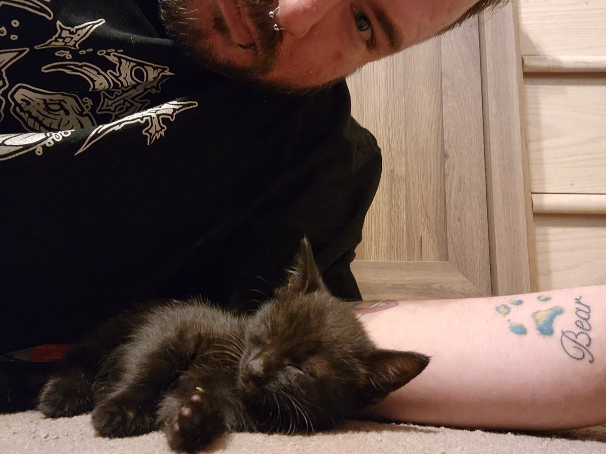 Swap_Shoppe's tweet image. I have a cuddle buddy!