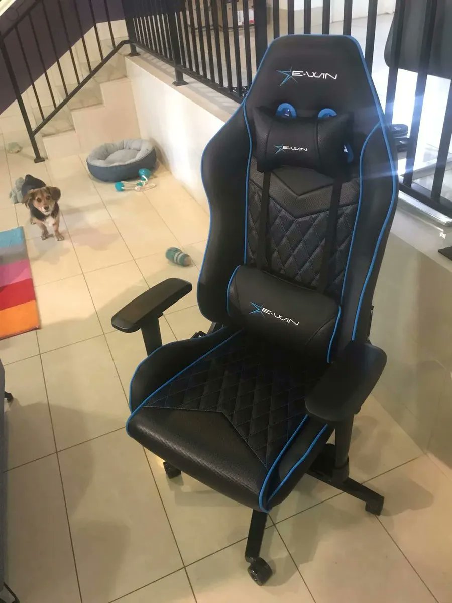 wait, that's not your seat! 👀