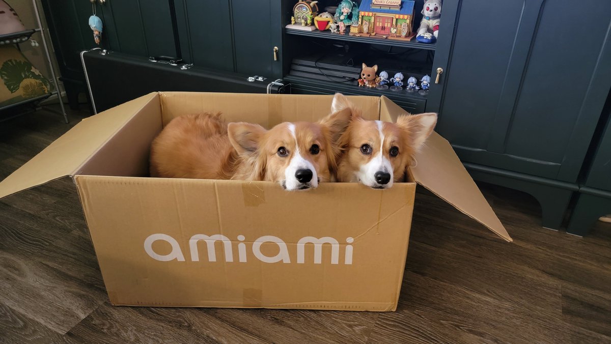 ArtThouBored's tweet photo. Better pack it in 'cause I think Olive and Gizmo have the #PetwithAmiAmiBox contest in the bag (box)

Double the trouble and twice as cute! https://t.co/0UXsUs3ivI