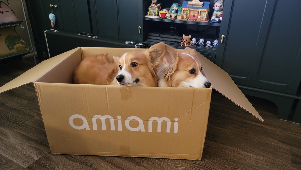 ArtThouBored's tweet photo. Better pack it in 'cause I think Olive and Gizmo have the #PetwithAmiAmiBox contest in the bag (box)

Double the trouble and twice as cute! https://t.co/0UXsUs3ivI