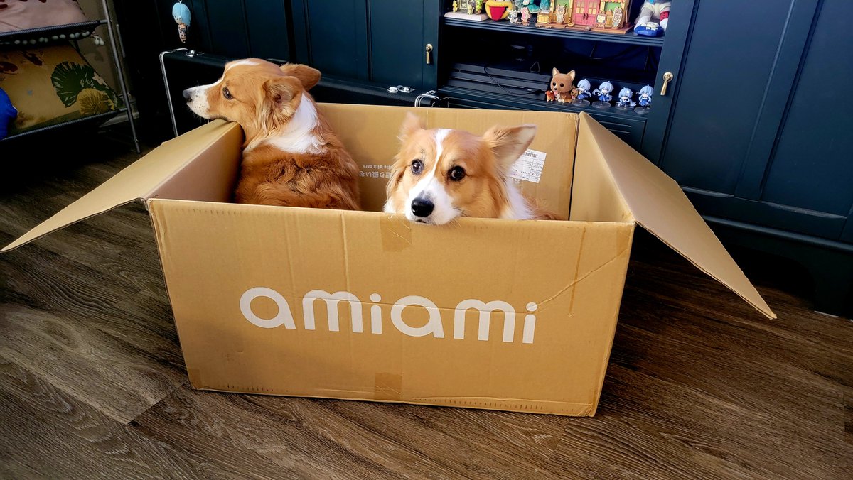 ArtThouBored's tweet photo. Better pack it in 'cause I think Olive and Gizmo have the #PetwithAmiAmiBox contest in the bag (box)

Double the trouble and twice as cute! https://t.co/0UXsUs3ivI