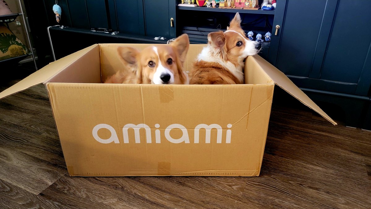 ArtThouBored's tweet photo. Better pack it in 'cause I think Olive and Gizmo have the #PetwithAmiAmiBox contest in the bag (box)

Double the trouble and twice as cute! https://t.co/0UXsUs3ivI