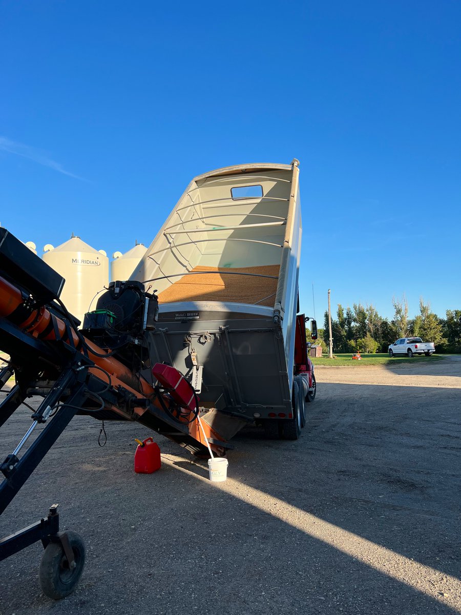 southern_seed0's tweet photo. 2022 Cleaned Certified AAC Wildfire 
Winter Wheat going into the bin today! 

Might have a few extra bushels in the bin with that bushel weight! 😅 #seed22 #harvest22 https://t.co/u5fjilzHMZ