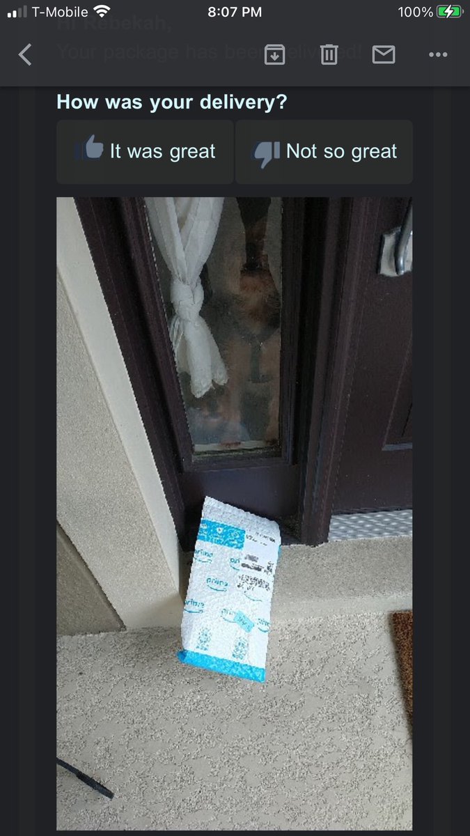 barkowitz's tweet photo. Thanks @amazon for the delivery today. Rufus and Luna were very pleased with the delivery but would prefer if you bring snacks next time! #yorkielife #howmuchisthatdoggieinthewindow @dog_rates https://t.co/hWYqqvvNHA