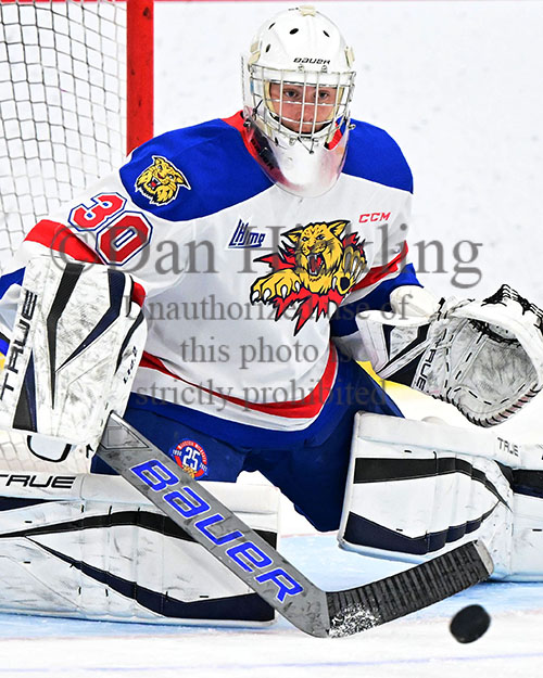 Dan Hickling tweet media