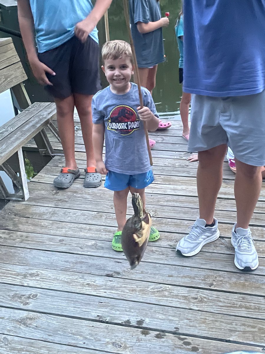 CoreyFountain6's tweet photo. It wasn’t a fish, but it gave Brady a fight! #turtlestew https://t.co/Kfdh7No1vb