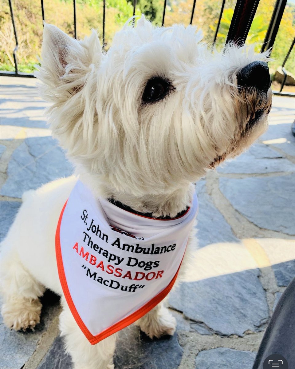 Macduff Austin-Chester tweet media