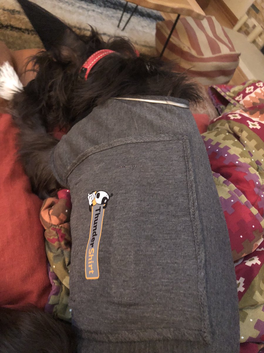 JanyceHamilton's tweet photo. https://t.co/PPEXFkjaAb