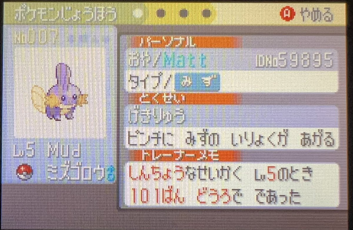 Sythaxx's tweet photo. He’s finally here! After 29026 SRs and 2 1/2 years - Shiny Mudkip!! ✨(feat. Tattoo I got in preparation) 
#ShinyPokemon #Pokemon https://t.co/zv8hqDszgM