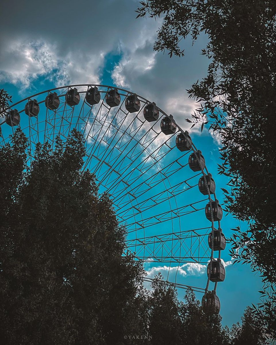 This Is My Iraq tweet media