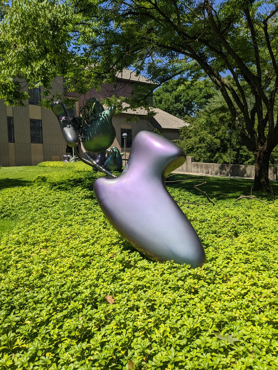 Babbling8rooke's tweet photo. Had the best time at my first in-person conference during grad school this week at #cshlcancer22 I met so many amazing colleagues and got the chance to hear about some truly exciting research. I'm especially looking forward to getting back to the bench @TheBenSpikeLab 🔬👩‍🔬🧪 https://t.co/Dw83M3Wpmt