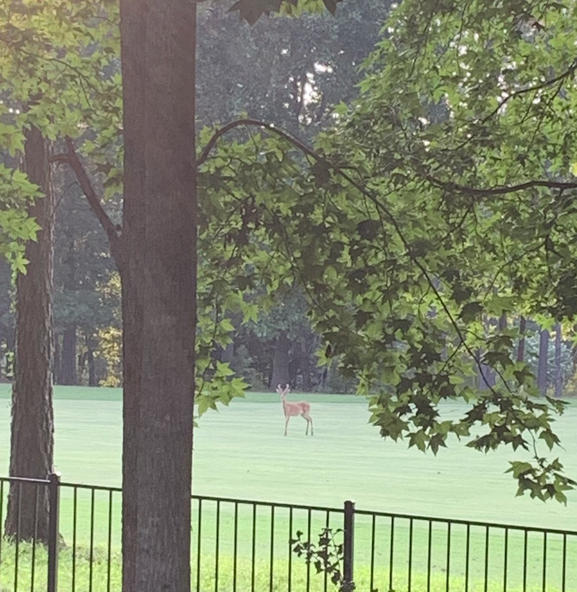 Cynthia Harrell tweet media