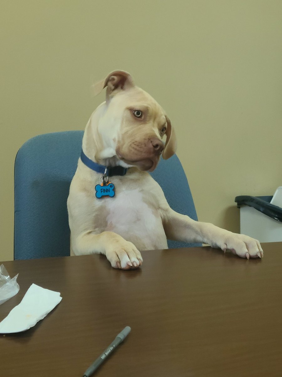 Leanne Wilson tweet media