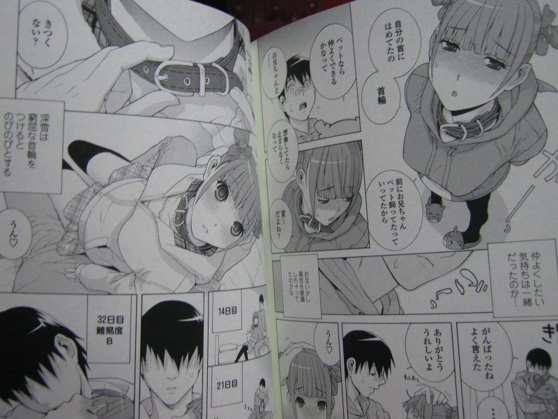 今見ても傑作!首輪を嵌めて欲しがる義妹との1年間の話。 