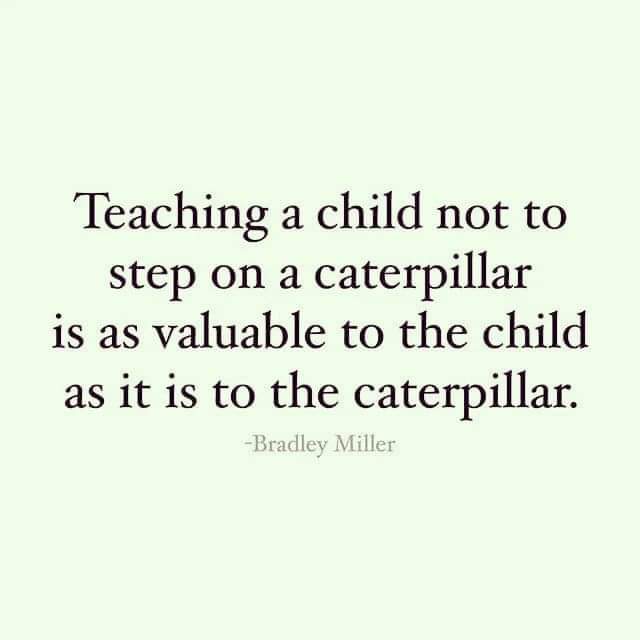 teachergoals's tweet photo. So true. 🧡 https://t.co/ehW3EL5rP4