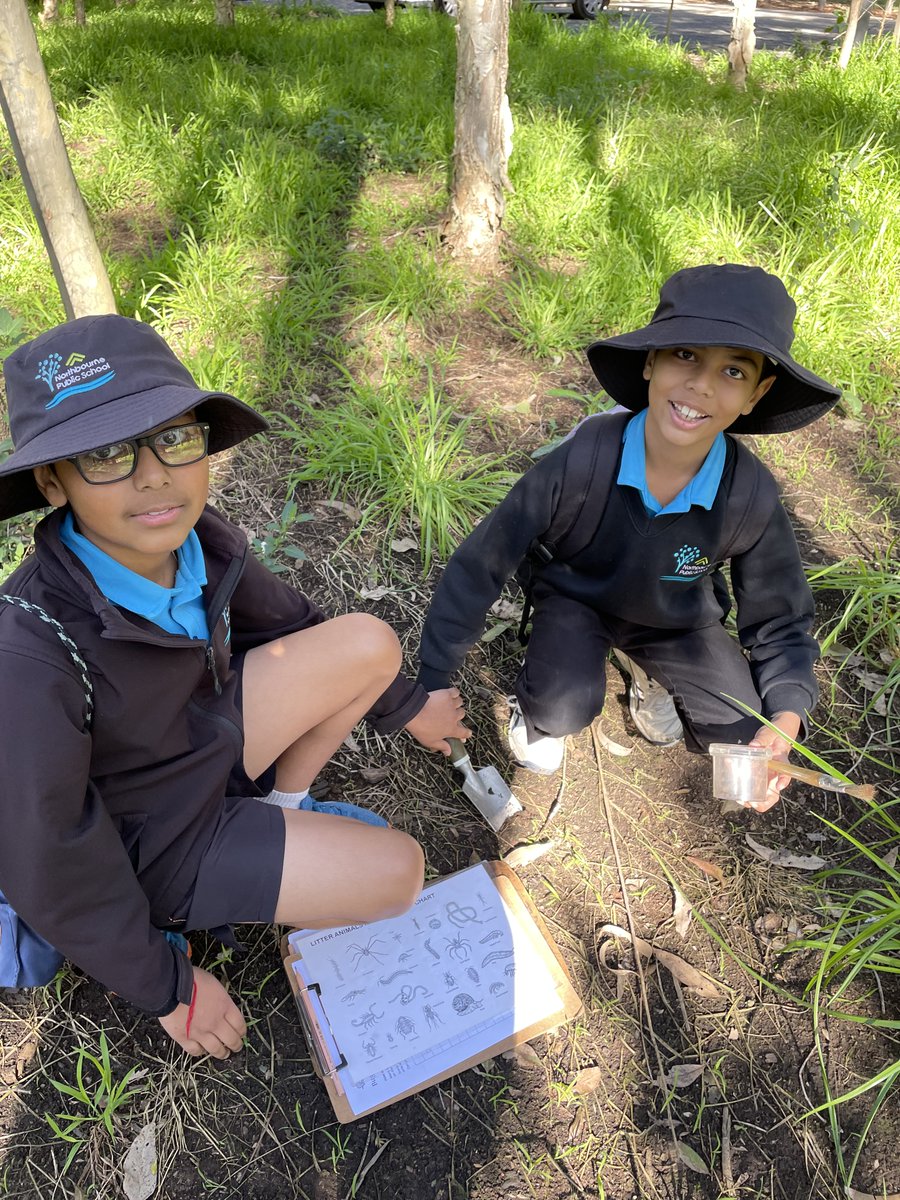 NorthbournePS's tweet photo. Stage 2 would like to thank Blacktown City Council and Brewongle Environmental Education Centre for providing them with a fun filled Science excursion to Nurragingy Reserve. https://t.co/u11AXgW9a6