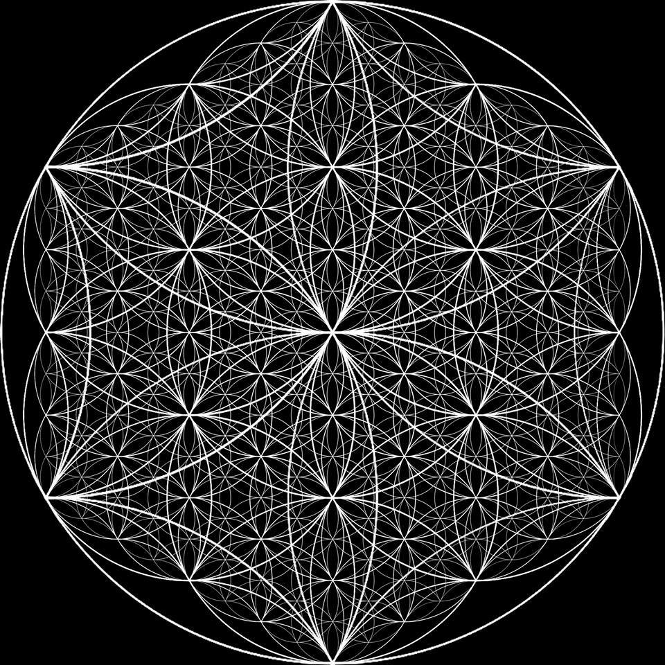 "Geometry is a visual form of harmony: the harmony of parts with each other and with the whole. The world is composed of diverse and contrasting elements. It is harmony that restores unity to the contrasting parts and weaves them into a cosmos.." – Jonathan Quintin