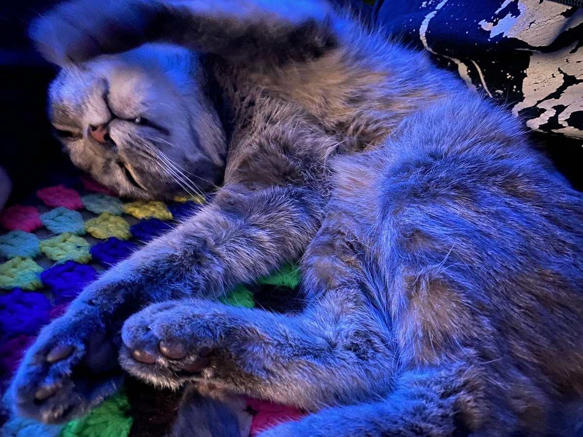 hey yall if ya like punk music check out my dads bands new album!!! itd mean the world just to get more eyes n ears on his stuff 🥺🥺 linktr.ee/ebtly