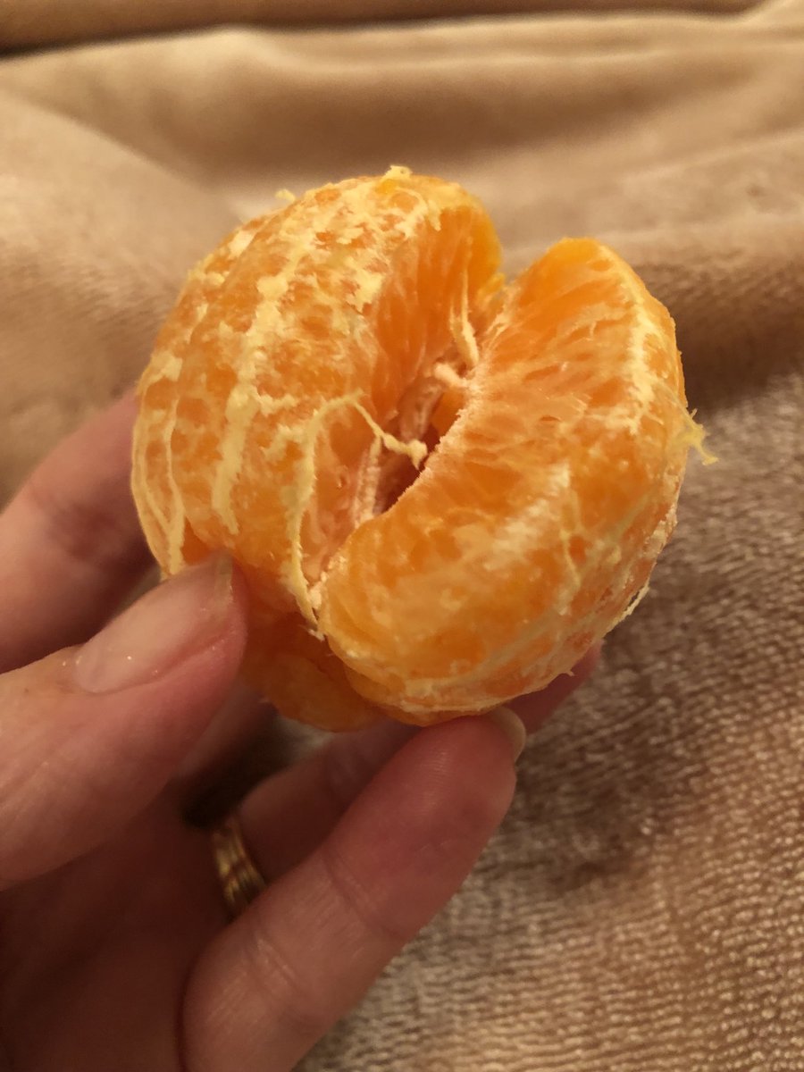 JoanBandy's tweet photo. Oranges are probably my favorite smell. Sorry I can’t smell you, little guy. #covidprobs https://t.co/0EQtz2sZ8H