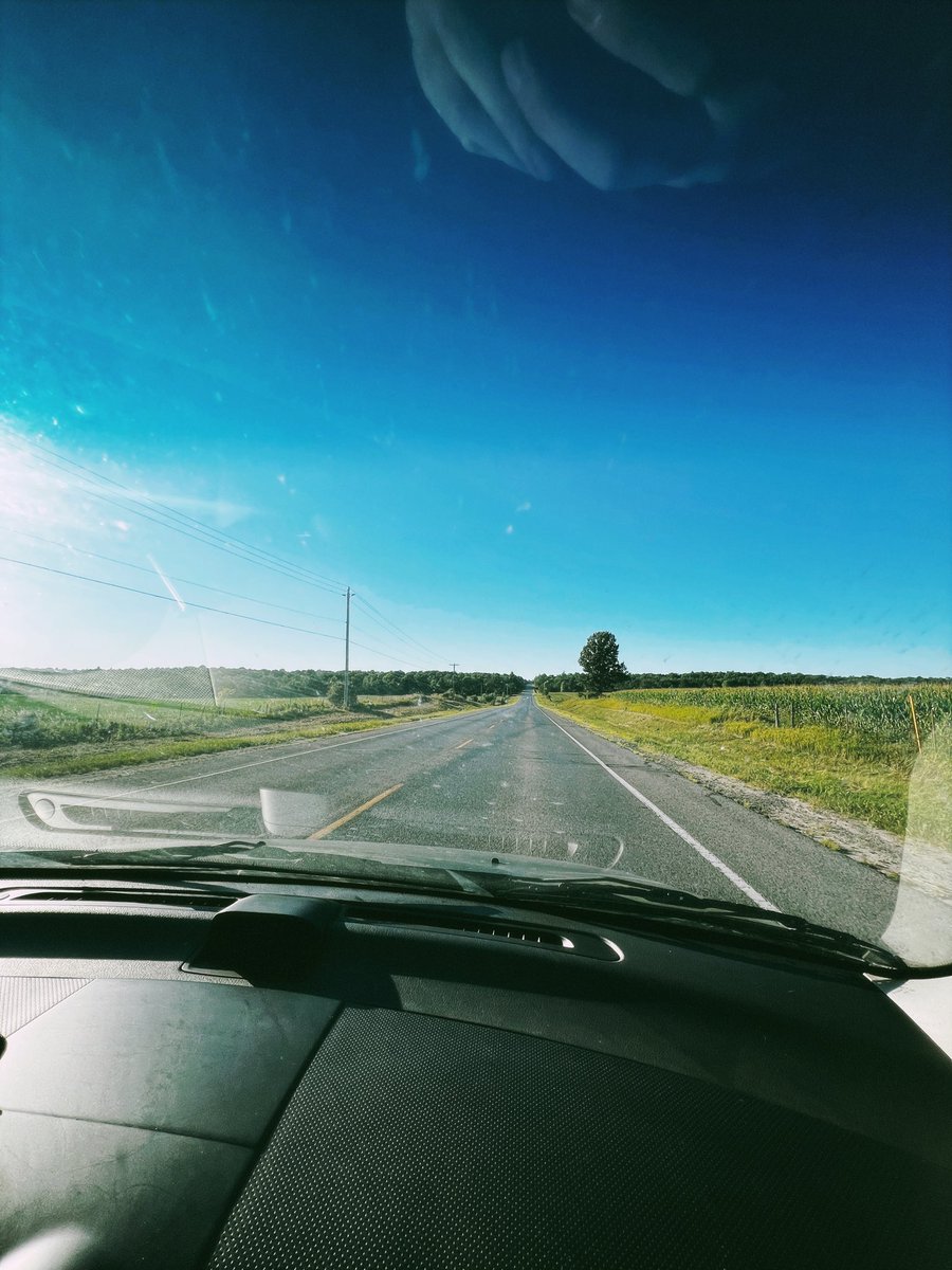 Declan O'mara tweet media