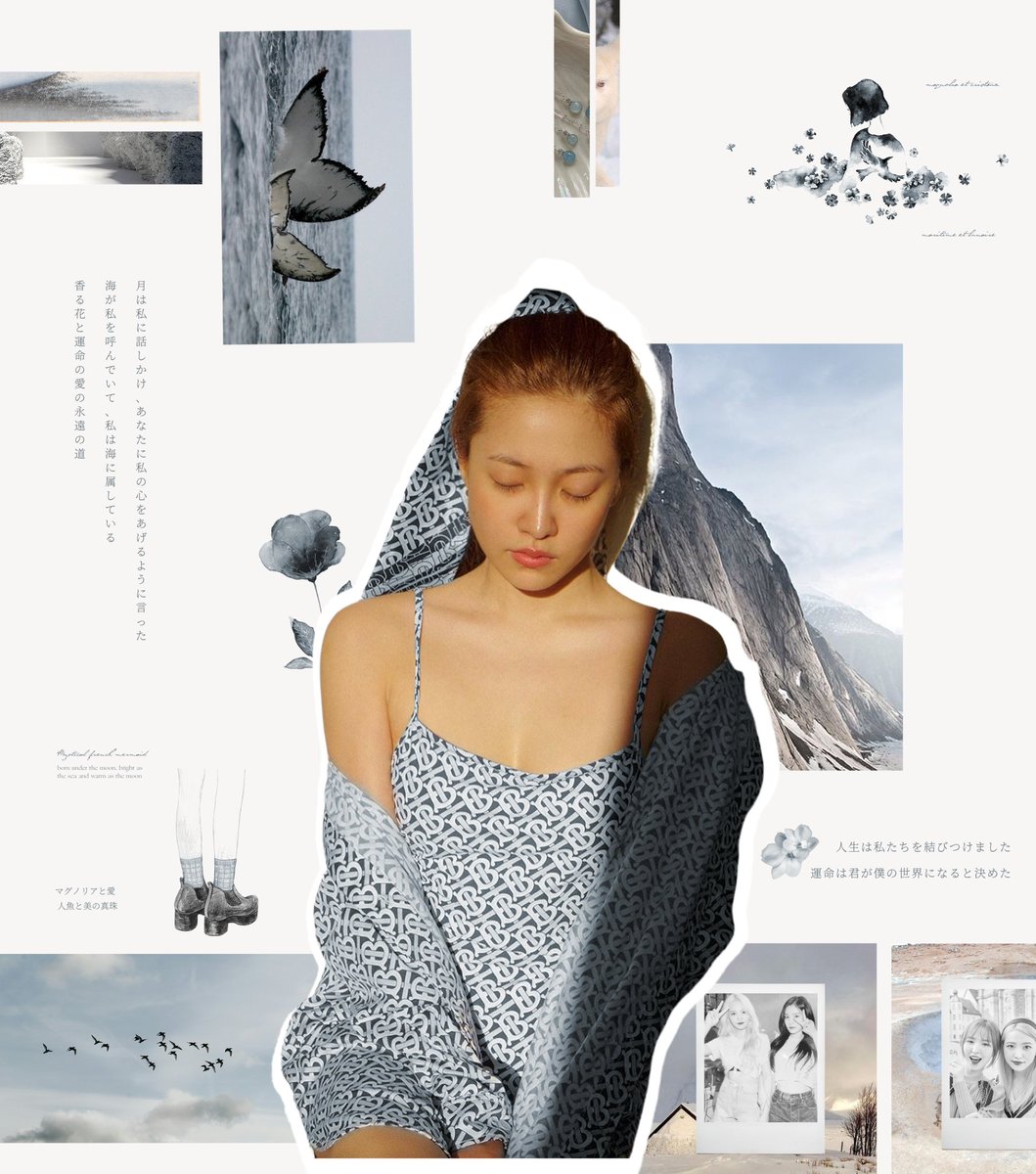 ㅤ
ㅤ
ㅤㅤㅤㅤ      𓇻   ◟   fm.  bleɑu-mèr  ﹚
ㅤㅤㅤㅤ           海と月ㅤ▫️ㅤnoliɑ.
ㅤ
ㅤ