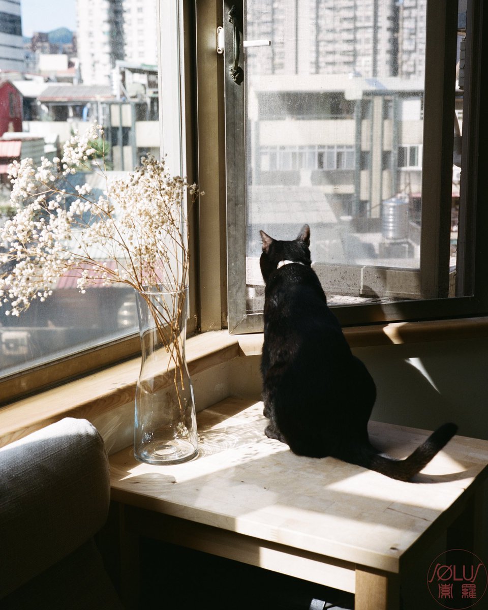 SolusLu's tweet photo. #fujicags645 #645folder #6x45format #120film #filmphotography #フィルム写真 #底片 https://t.co/GpiY3Xl934