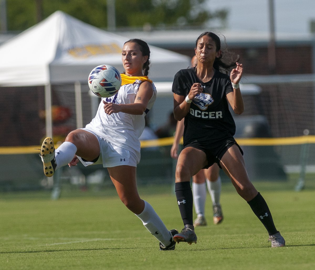 UMHB Women's Soccer⚽️ tweet media