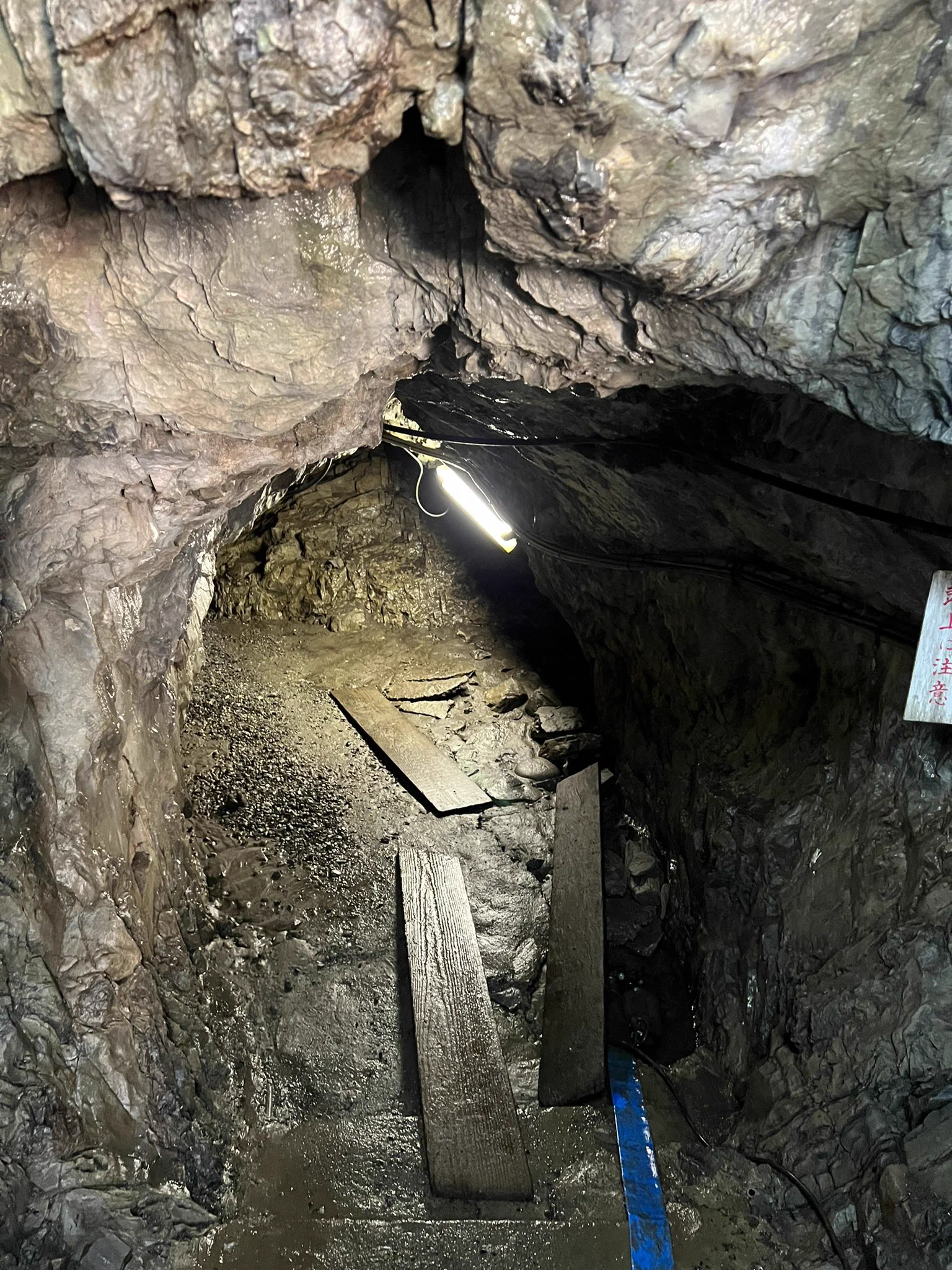 校長先生の身に何が？洞窟内のある場所の説明文が意味不明！