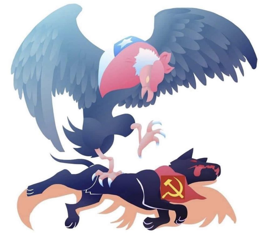 SilveyMunzen's tweet image. #TodosPorElRechazo