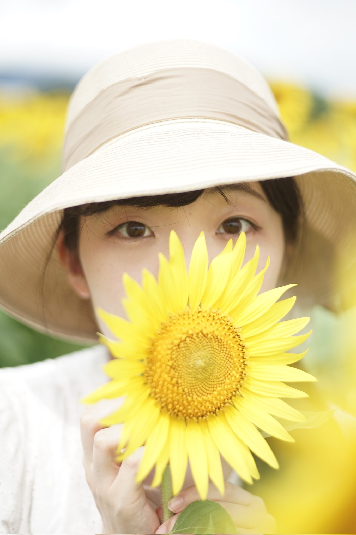 Tweets With Replies By 藤井 環 Tamaki Fujii Twitter