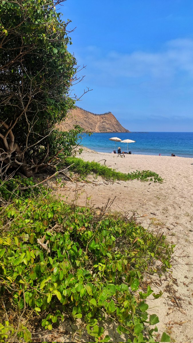 ECpormislentes's tweet photo. La playa de #LosFrailes está ubicada en el Parque Nacional Machalilla, provincia de #Manabi No puedes dejar de conocerla 🇪🇨🤗 https://t.co/qL18jU1Tpj