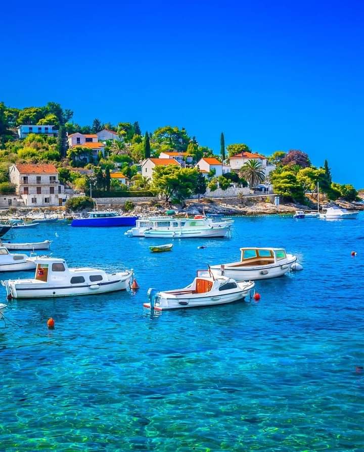 Hvar Island, Croatia 😍

📸dreamer4787

#hvar #hvarisland #hvarcroatia #croatia #croatiatravel #lovelyterratravels #croazia #kroatien #lovelyterra #travel #besttraveldestinations