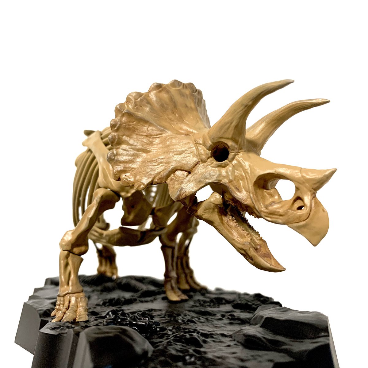 kawaralab's tweet photo. #バンダイ #トリケラトプ�� 完成です。#bandai #imaginaryskeleton #triceratops https://t.co/MDso0dSyM2