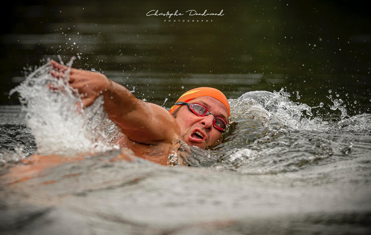 Boston Light Swim tweet media