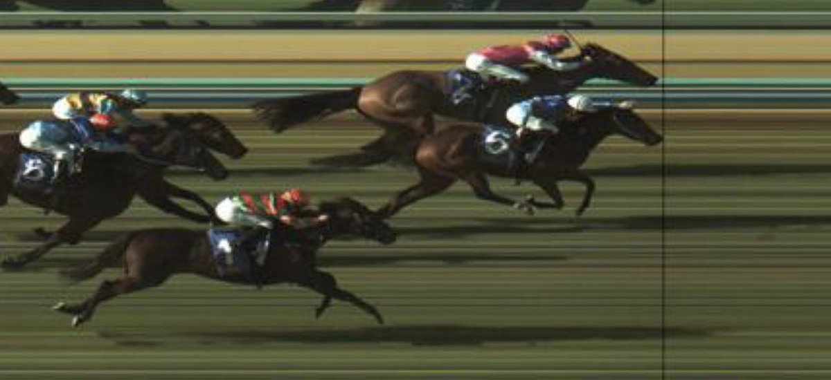 Dene Macleod tweet media