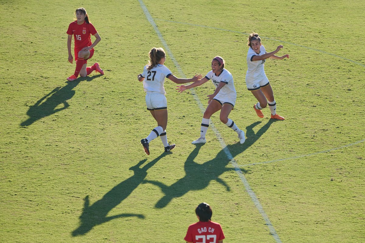 Cal Women's Soccer tweet media