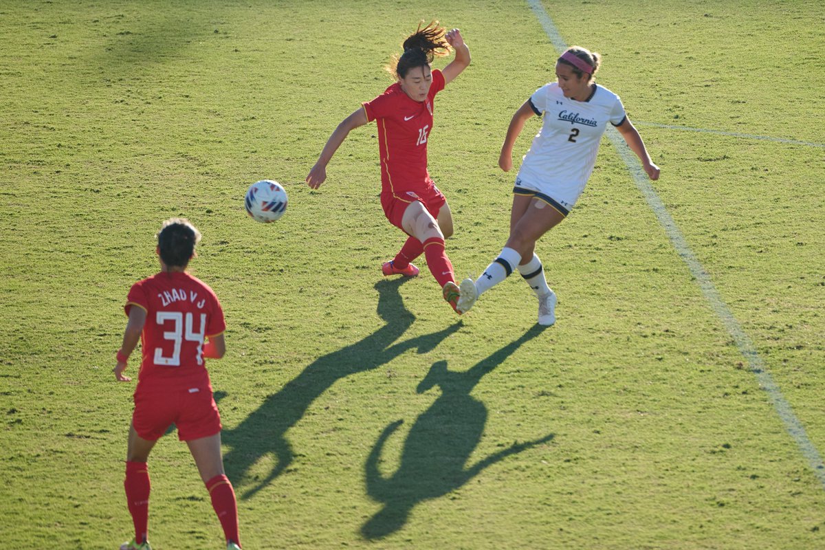 Cal Women's Soccer tweet media