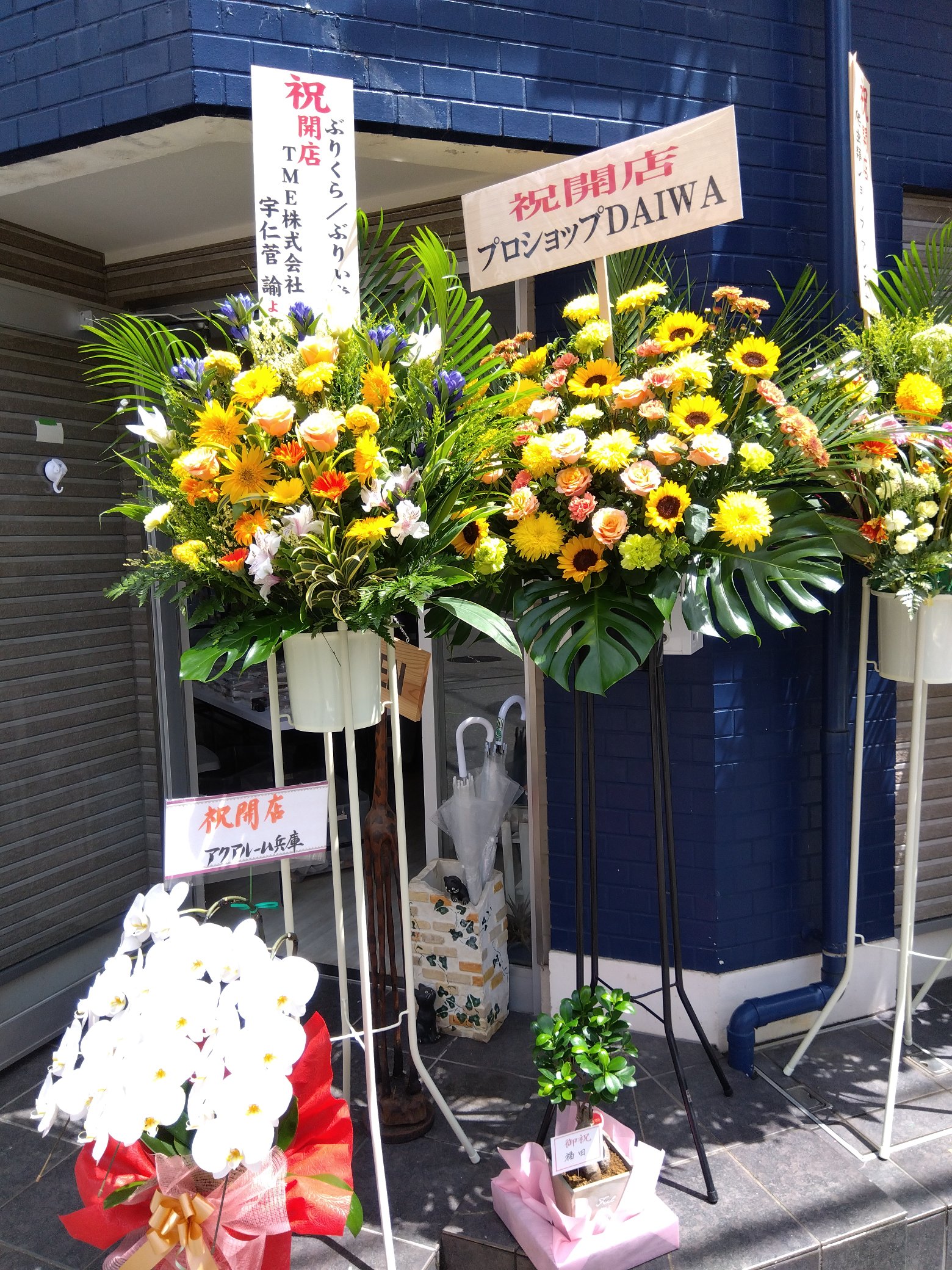 ぶりくら路面店情報 Socgyl7wwbepgln Twitter