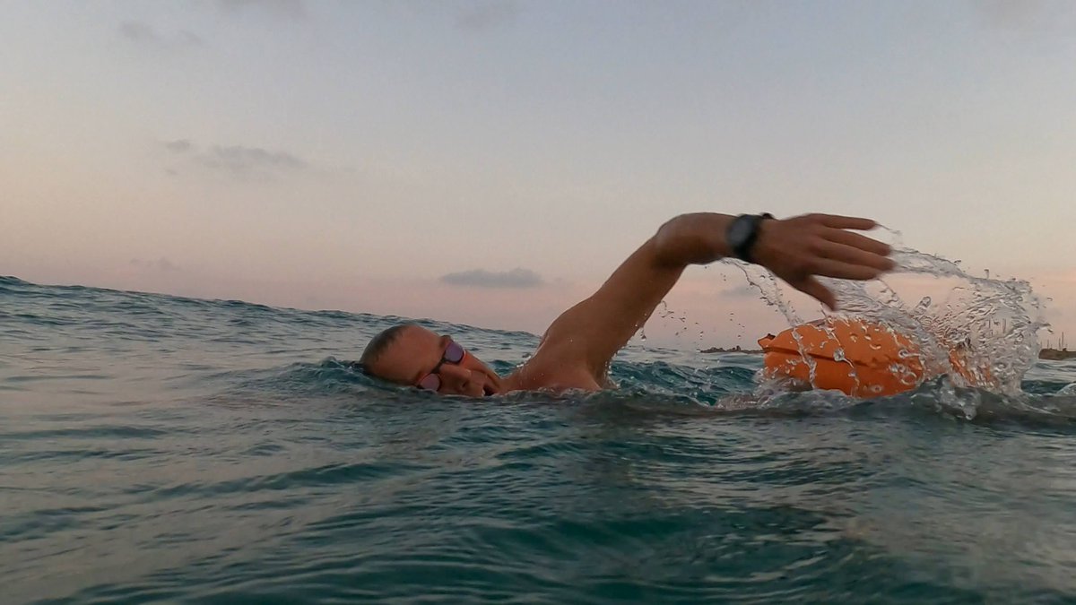 Boston Light Swim tweet media