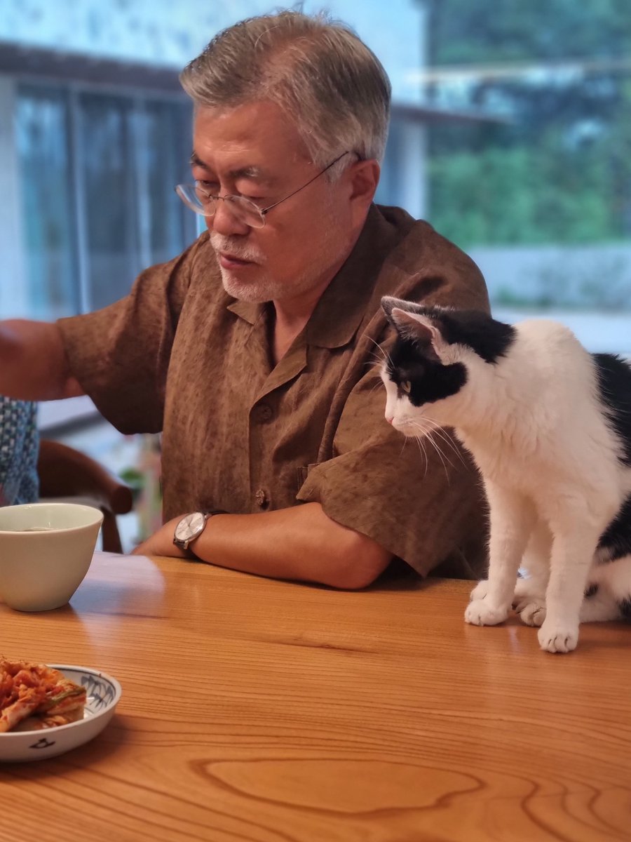 <나는 고양이로소이다> 주인공 마냥 소신있는 우아한 녀석이였으나 점점  <고양이와 할아버지> 콤비 모드로.. 
찡찡아. 국수 먹는데 니가 왜 🤣

#한국판고양이와할아버지
#가지가지고냥
#완전웹툰각