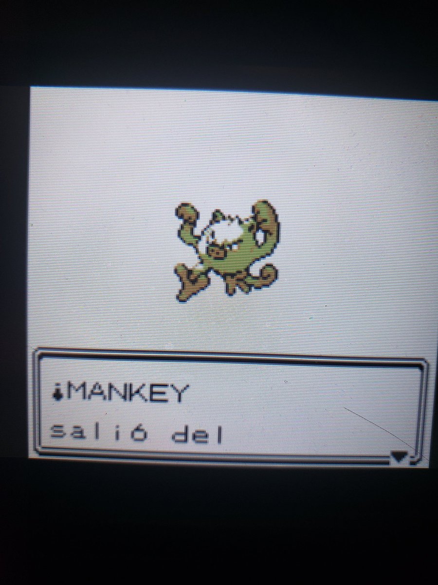 captain_las's tweet photo. Shiny Mankey Pokemon Gold @JCBLPs @FrigidWing @PokuTori @GoffiesEnigma @Hound00med @Rozoken @SmkGaming05 @NSquaredPlays https://t.co/cJhihuEctC