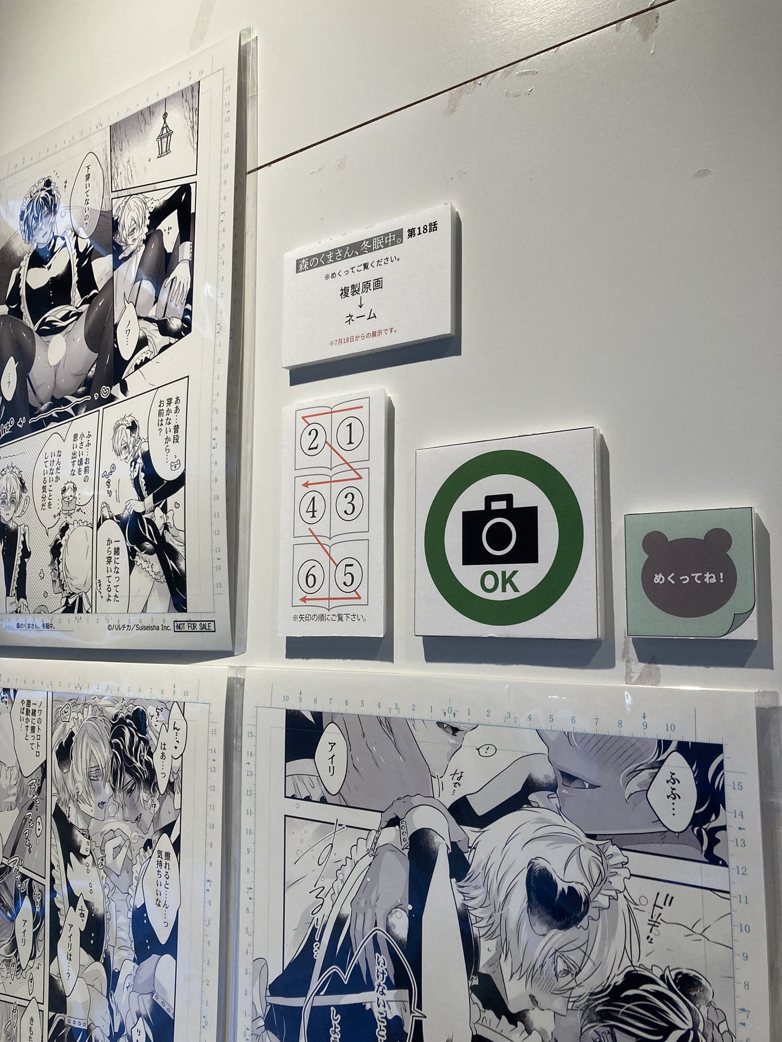 森のくまさん、冬眠中。 森くまキッチン ハルチカ 森のくまさん、冬眠