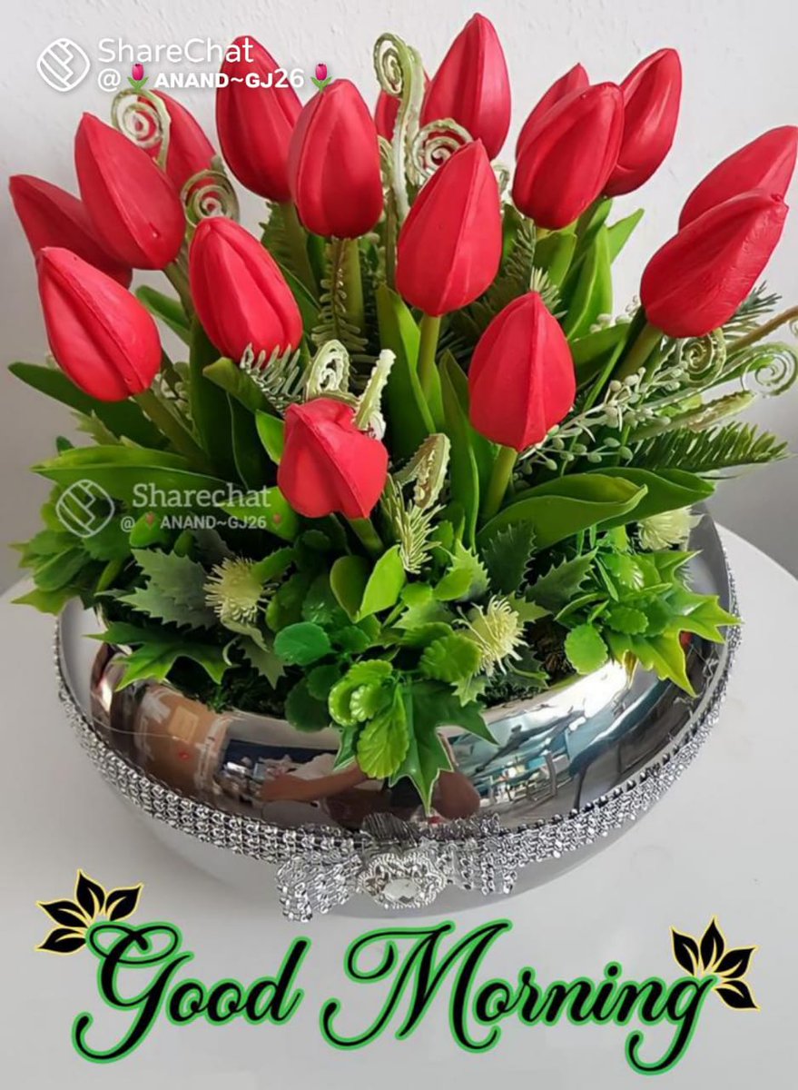 Sandeepdabass's tweet photo. Have a nice day https://t.co/YuUsvwUI80