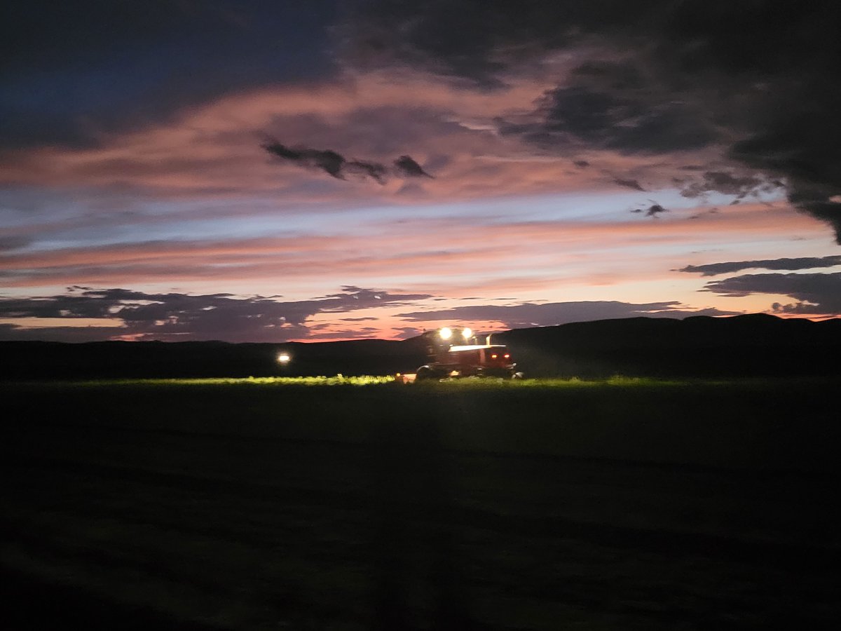 Tanner Holt 🇺🇸 (@tannerjholt) on Twitter photo 