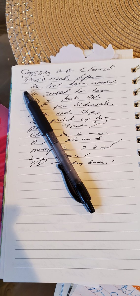 bethcarter007's tweet photo. Busy day writing over 2,600 words, plus several handwritten notes. I also baked a lemon cake and cooked a ham, stuffing, and spinach. You may address me as Wonder Woman now, or Wine Woman. Whatever. π€£ #amwriting #authorswhocook https://t.co/ybAbHRpTwP