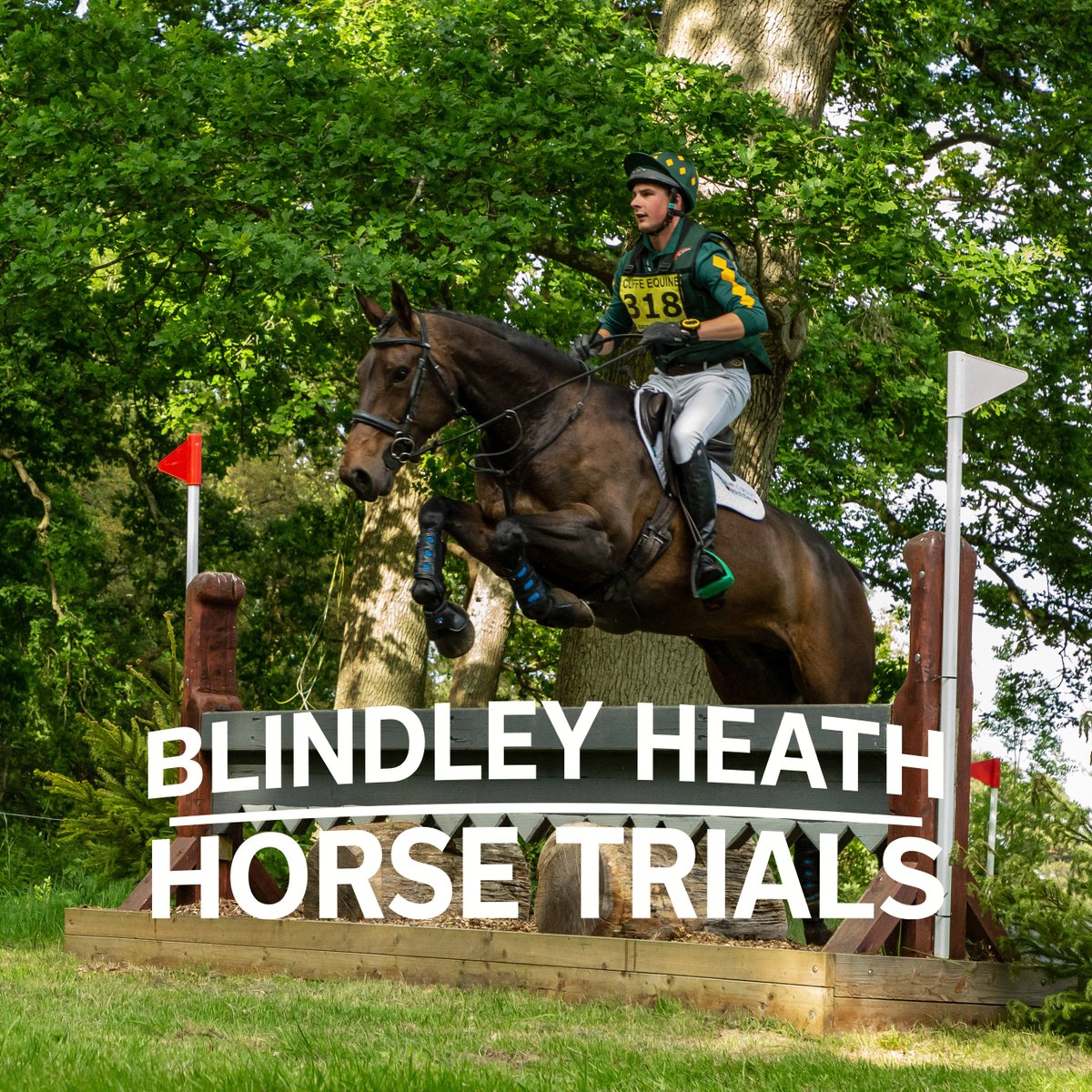Blindley Heath Horse Trials tweet media