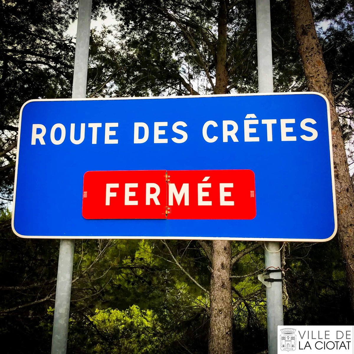 LopezTrini13's tweet photo. @BFMMarseille https://t.co/wg28M5UKAo