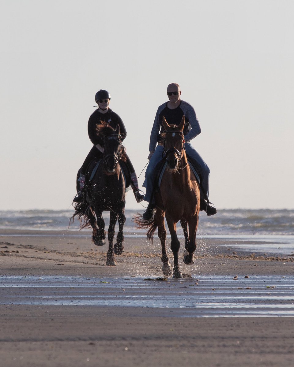 PascalBoorsma's tweet photo. Paardrijden met mijn dochter. Als je er niet zo’n spierpijn van kreeg deed ik het vaker…🥴😎 https://t.co/7ryj8QnG7W